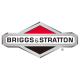 Briggs Stratton